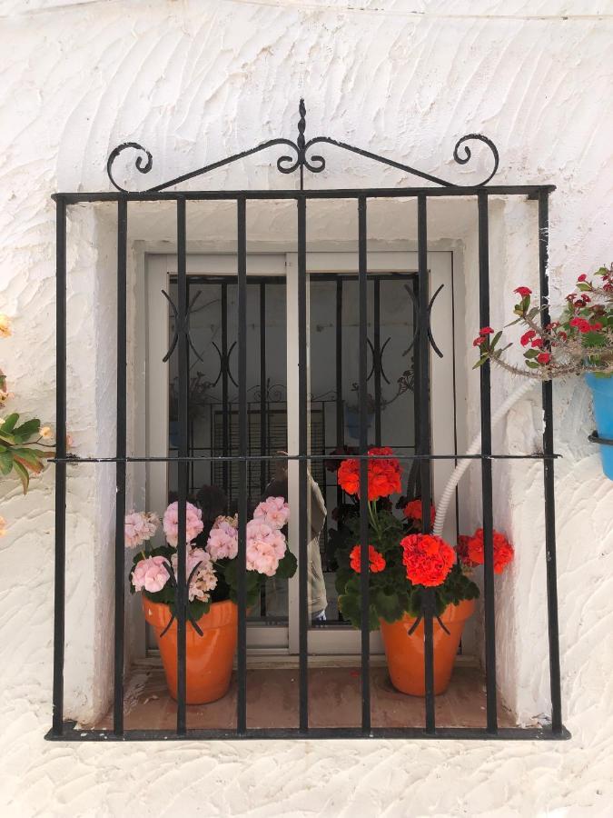 Arya'S Nest Apartment Mijas Exterior photo